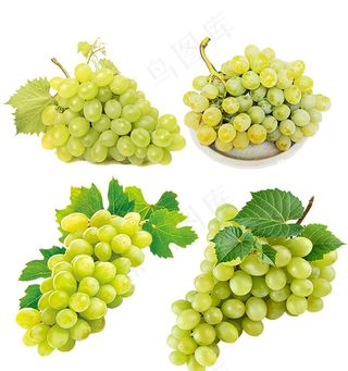 绿葡萄 提子图片