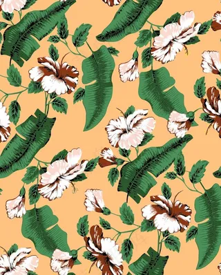 芭蕉叶热带花图片