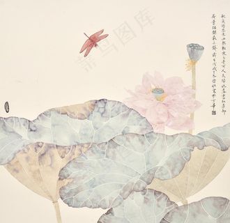 徐欣荷花作品 工笔荷花  荷花图片