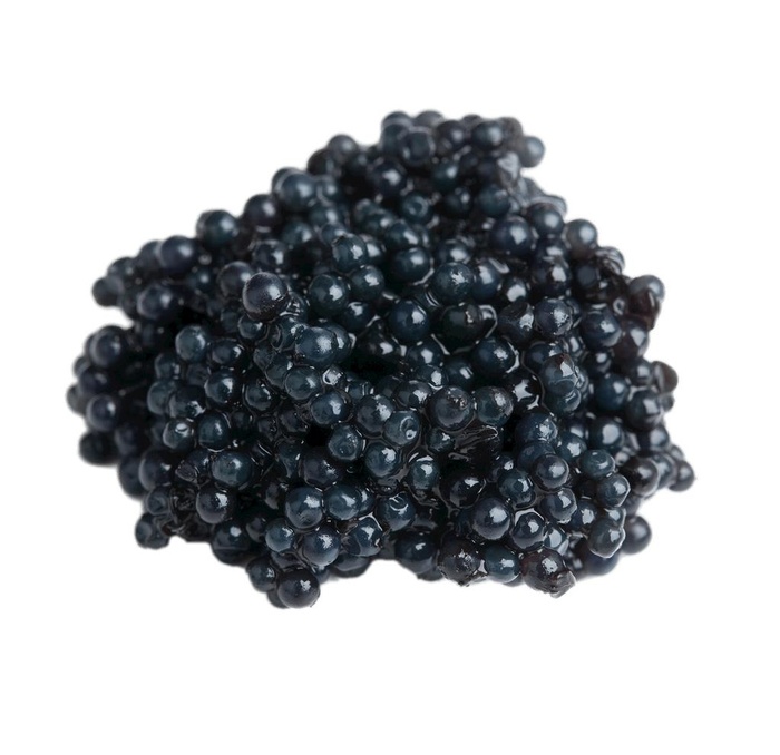 鱼子酱免扣图图片