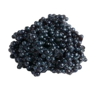 鱼子酱免扣图图片