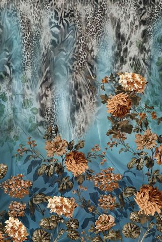 定位花 豹纹花图片