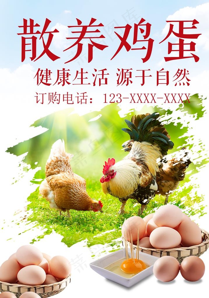 散养鸡蛋海报图片psd模版下载