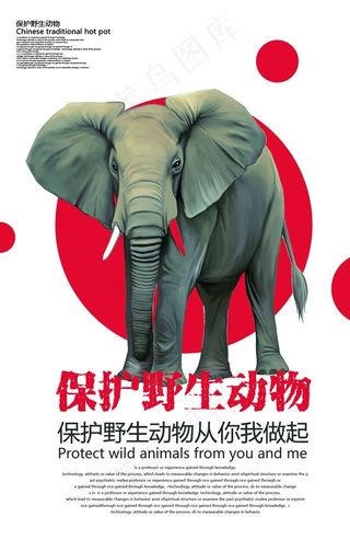 保护野生动物海报图片