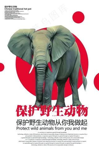 保护野生动物海报图片