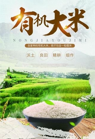 有机大米图片