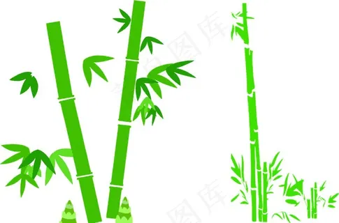 竹子图片