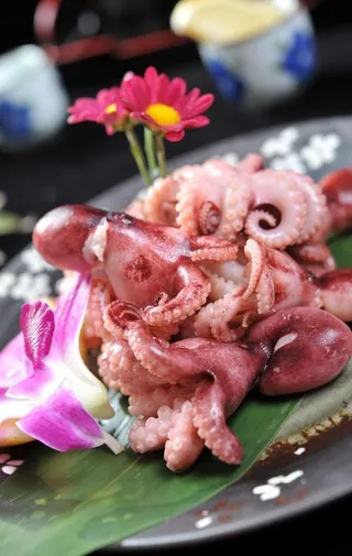 铁板小八爪图片