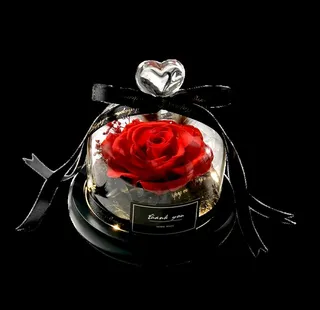 永生花 无底图图片