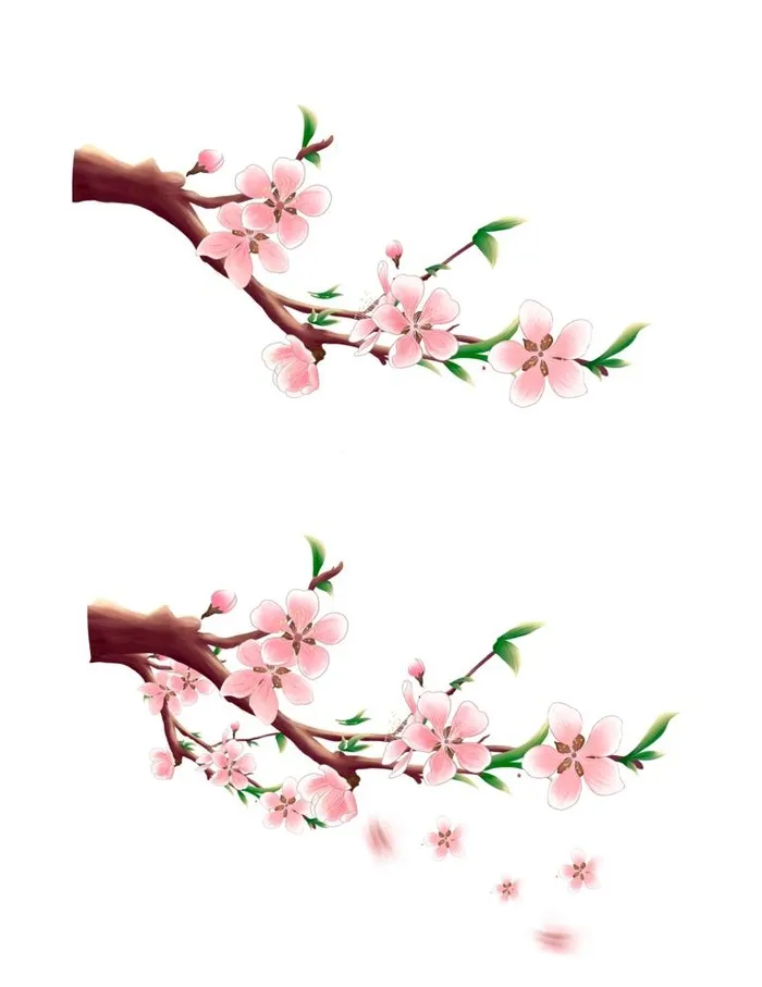 樱桃花树枝飘落图片(3072x4107)psd模版下载