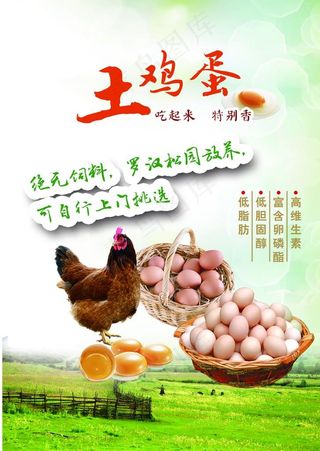 土鸡蛋海报图片