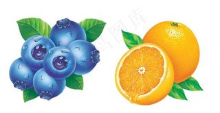 蓝莓香橙图片