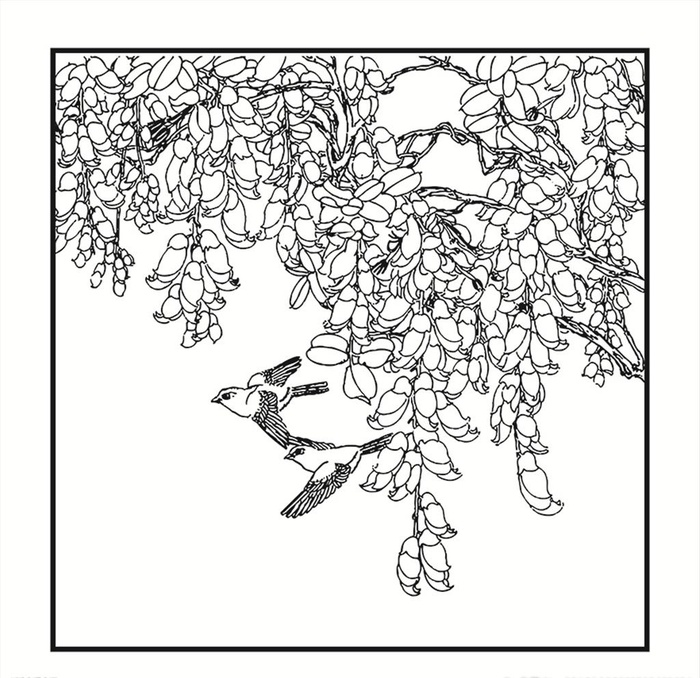 花鸟图片ai矢量模版下载