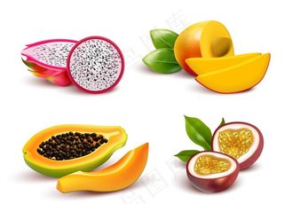 矢量水果图图片