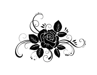 矢量玫瑰花图片