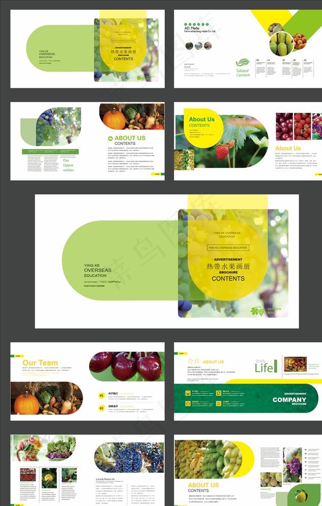 高档时尚大气热带水果画册图片