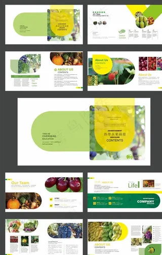 高档时尚大气热带水果画册图片