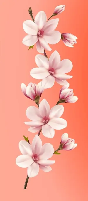 手绘玉兰花图片