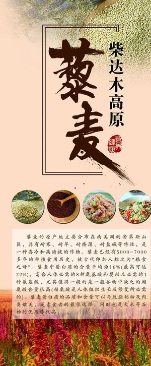 藜麦 展架图片