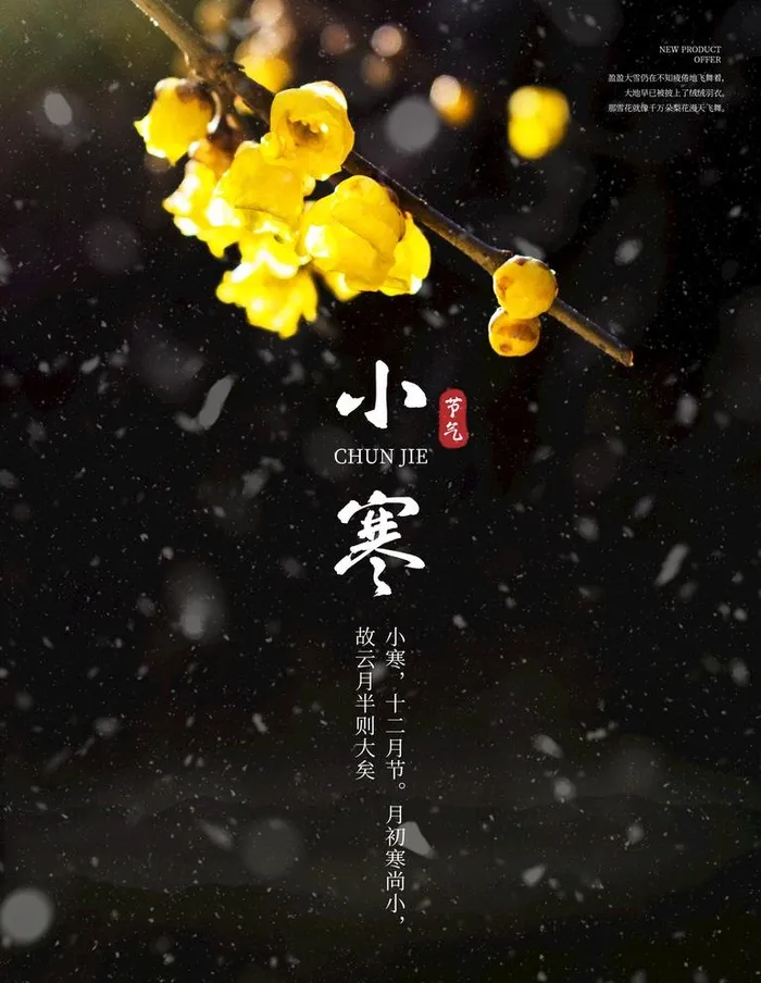 小寒大气海报图片(3543x4724)psd模版下载