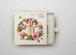 礼盒包装VI图片