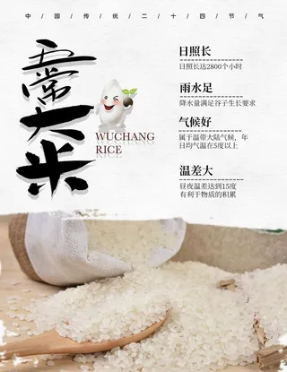 大米海报  有机五常 稻花香 图片
