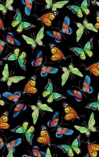 蝴蝶女装花型图片