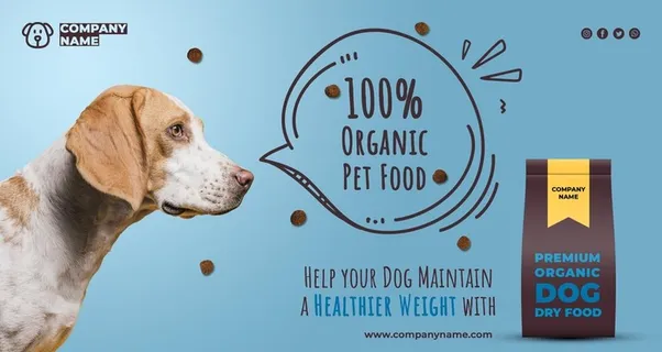 宠物狗粮网站首页海报图片