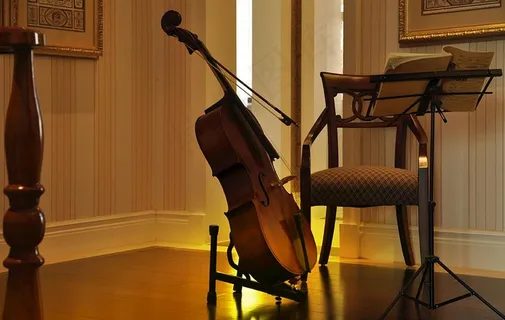 大提琴图片 大提琴图片