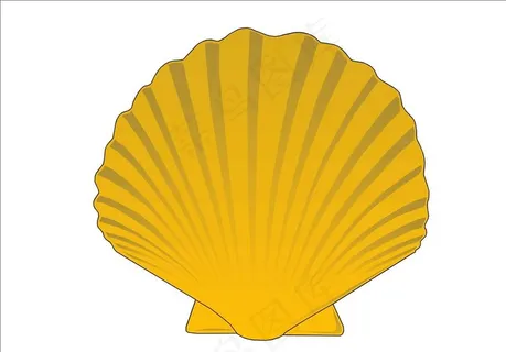 贝壳图片 贝壳图片