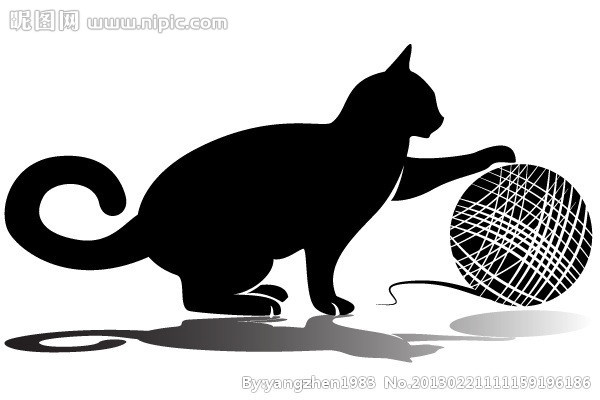 小猫图片