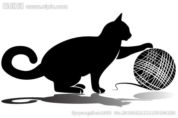 小猫图片
