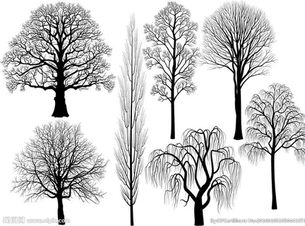 树剪影图片