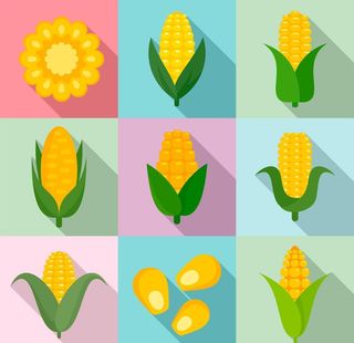 玉米图标logo图片