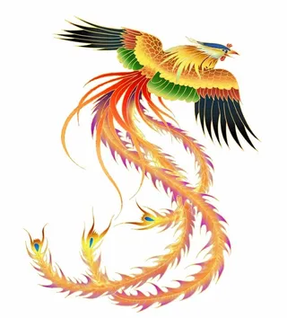 凤凰图片