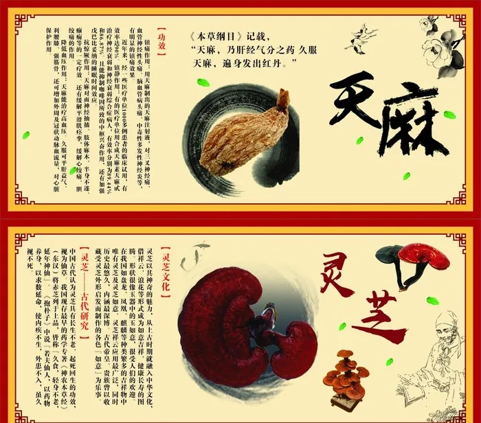 中药 天麻 灵芝 海报图片cdr矢量模版下载