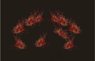 红色花艺图片