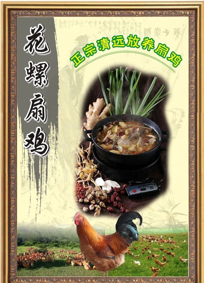花螺扇鸡图片(700X1000)cdr矢量模版下载