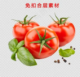 番茄图片