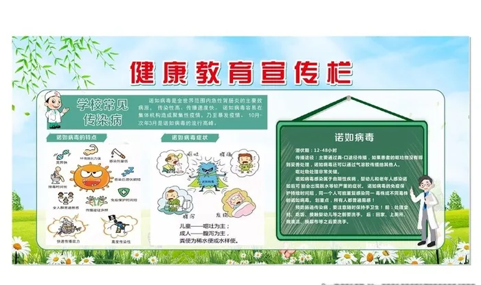 诺如病毒展板图片cdr矢量模版下载