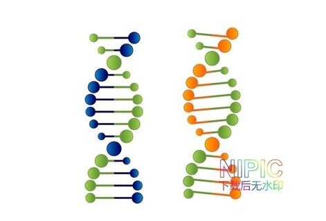 dna图形图片