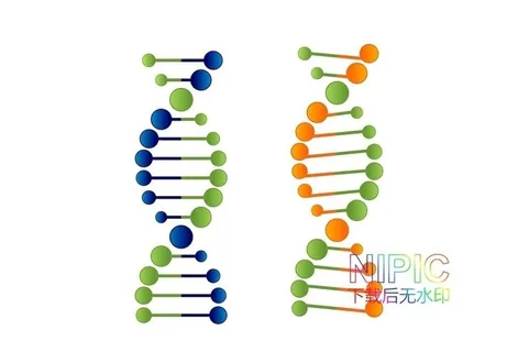 dna图形图片