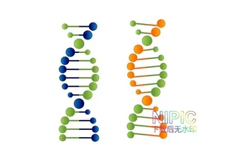 dna图形图片
