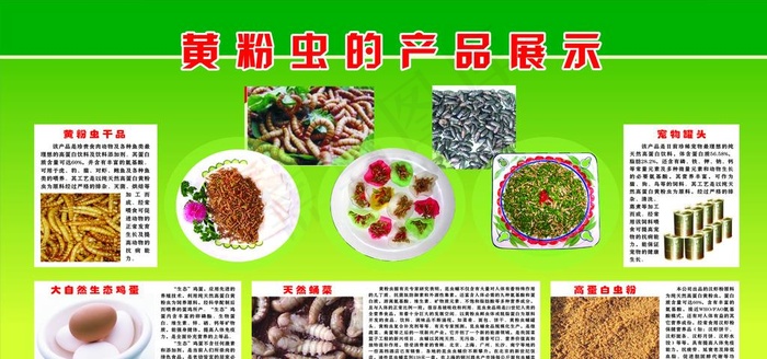 虫子鸡蛋图片psd模版下载