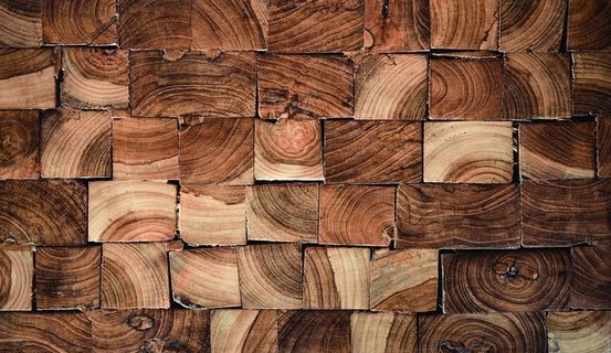 木头横截面树的年轮图案图片