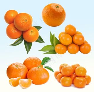 橘子图片