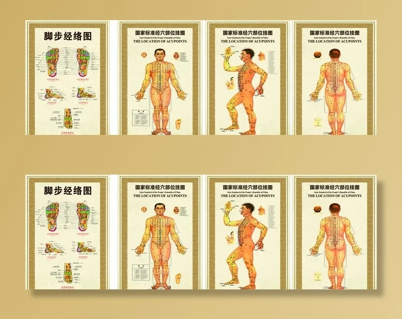 按摩经络穴位图图片cdr矢量模版下载