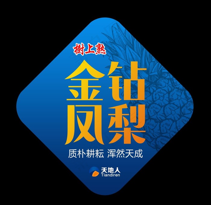 凤梨外包装图片