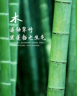 九竹烤盐图片 九竹烤盐图片