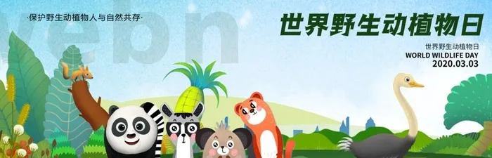 保护动物 保护野生动物图片
